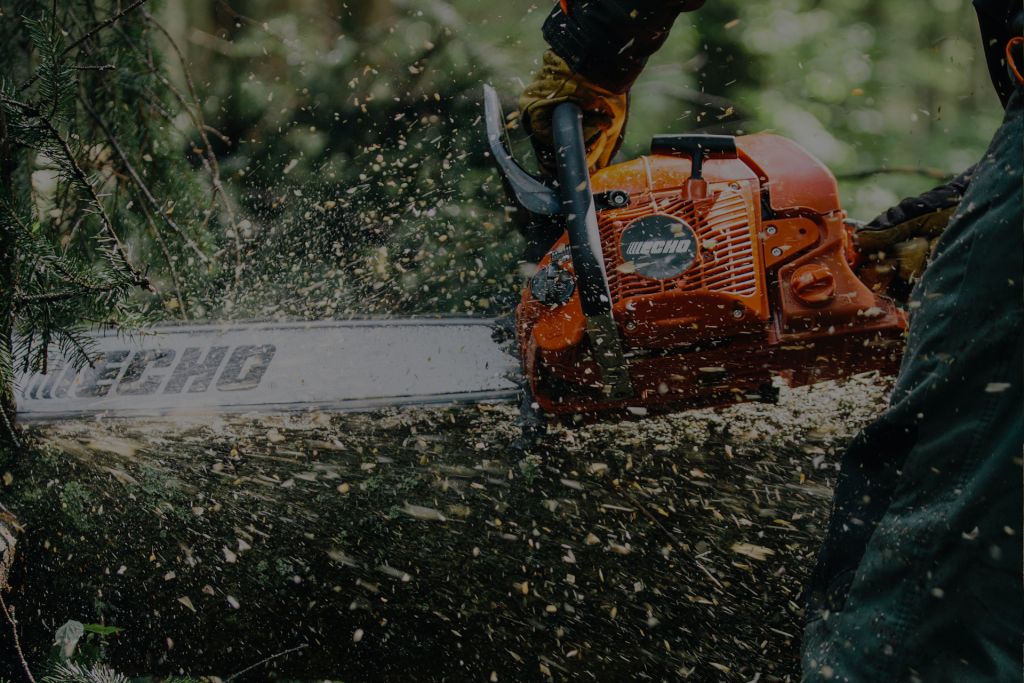AMtools.gr | Μηχανήματα Αγρού & Κήπου | Αγριαδέλης - Μπαργιώτας | ECHO | Λάρισα